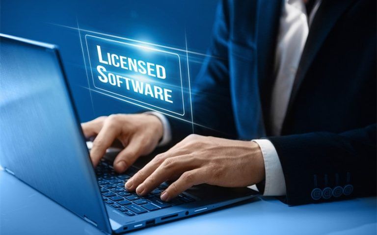 Role Of Software License Management 768x479